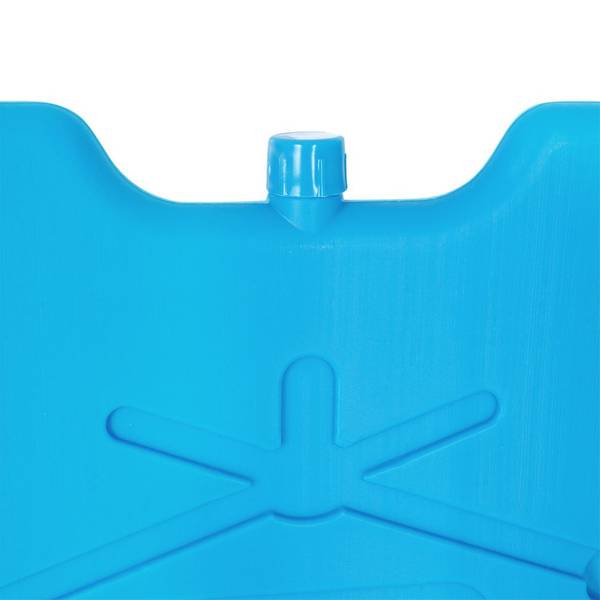Kühlelemente 2er Set SET177 Blau - Kunststoff - 22 x 2 x 26 cm
