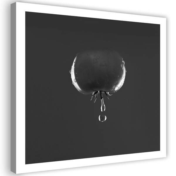Leinwandbilder Tomaten Gemüse Schwarz 50 x 50 cm