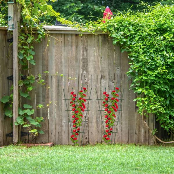 Plantensteun set van 2 groen groen - staal - 59 x 122 x 2 cm