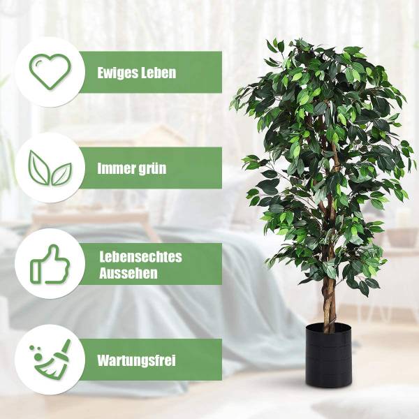 Zimmerpflanze Deko kaufen | home24