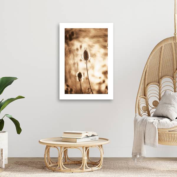 Wandbild getrocknete pflanzen 70 x 100 cm