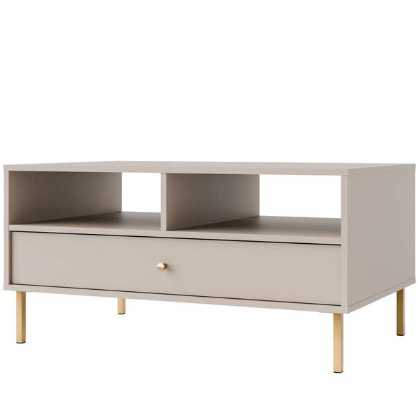 Couchtisch FLOREN II Grau - Holzwerkstoff - 100 x 50 x 65 cm