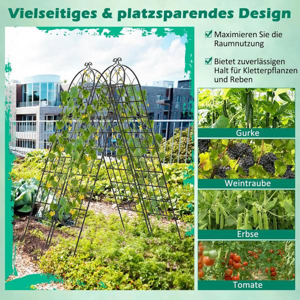 Rankgitter SF6571PWDE(2er-Set) Schwarz - Metall - 1 x 220 x 50 cm