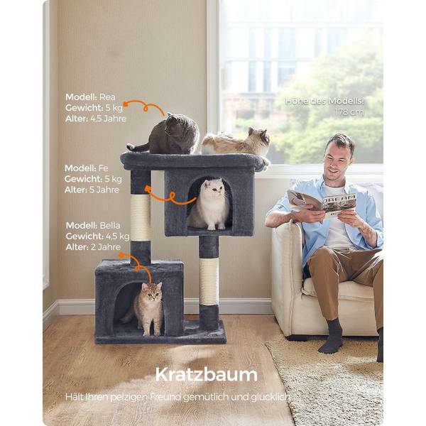 Katzenbaum Paris Grau