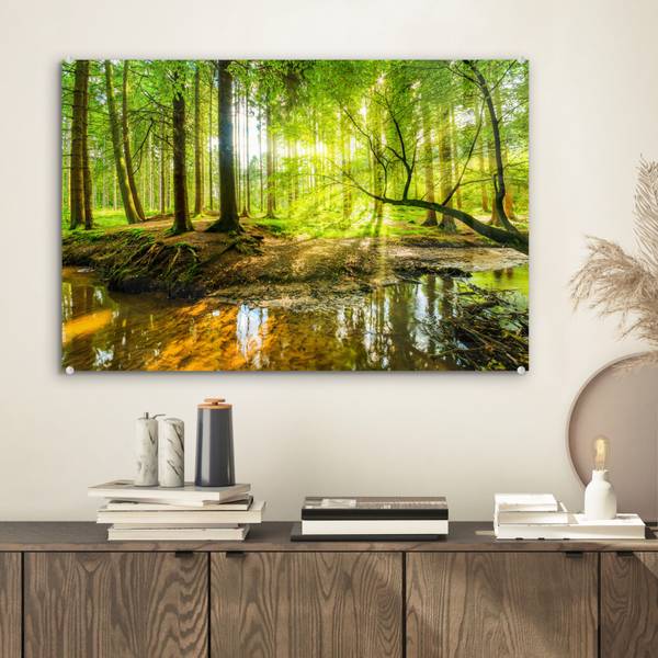 ACRYLGLASBILD Wald 60 x 40 cm