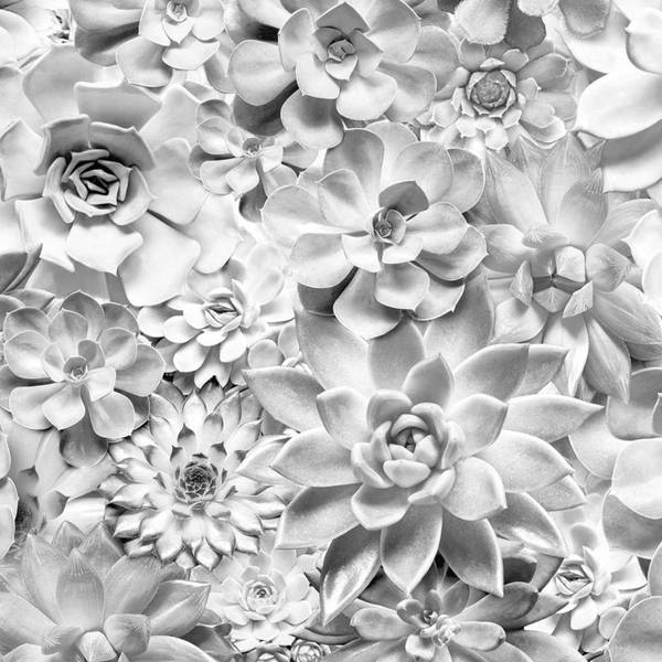 Fototapete 612370 Grau - Papier - 400 x 250 x 250 cm