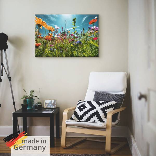 Leinwandbild Buntes Blumenfeld 60 x 40 cm