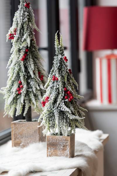 Weihnachtsbume kaufen | home24