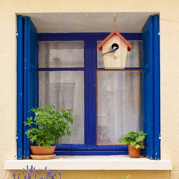 Jouet à Suspendre En Bois, Rotin Et Algues Pour Oiseaux - 56 Cm