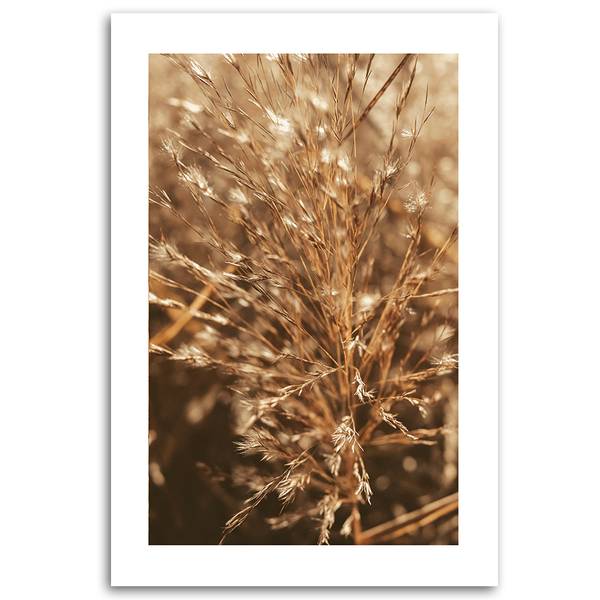 Wandbild gras 70 x 100 cm