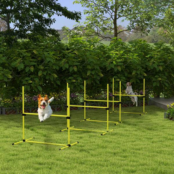 Agility-Ausrüstung 4er Set D07-018V00YL Gelb - Kunststoff - 65 x 94 x 99 cm