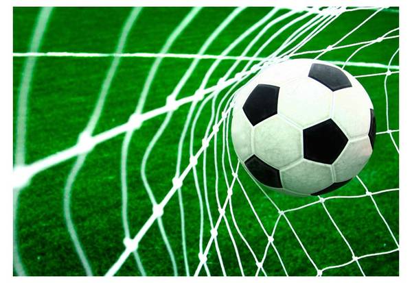 Vliestapete Sport Liv 400 x 280 cm