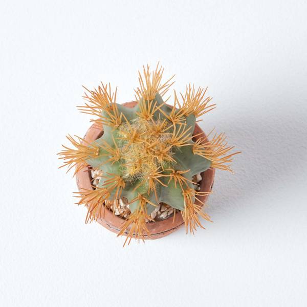 Cactus Artificiel AP1455 Orange - Polyester - 10 x 15 x 15 cm
