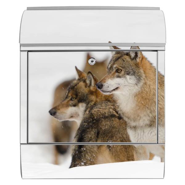 Briefkasten Stahl Wölfe Grau - Stahl - 38 x 46 x 13 cm