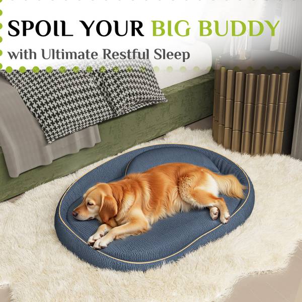 Lit pour chien 4060 Bleu - Polyester - 81 x 25 x 110 cm