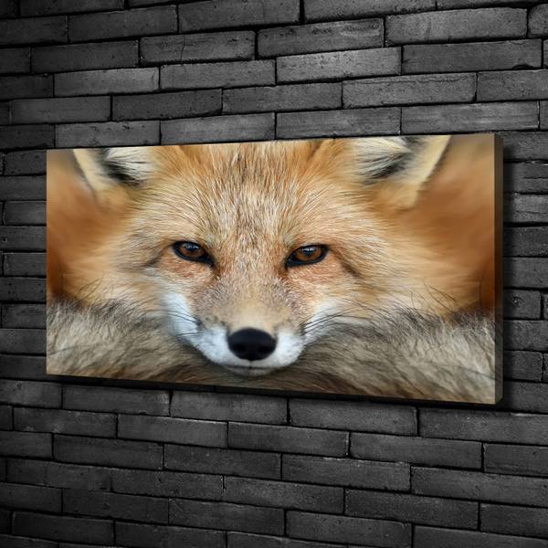 Wandbild Fuchs Beige - Mischgewebe - 100 x 50 x 4 cm