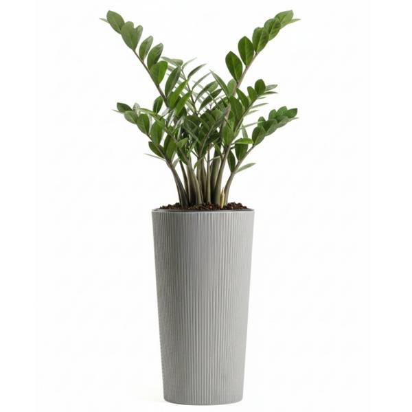 Blumentöpfen Urbanika 3er-Set Grau - Kunststoff - 29 x 57 x 29 cm