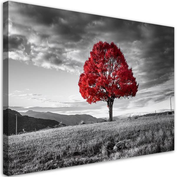 Tableau déco Arbre dans un pré Paysage 90 x 60 cm