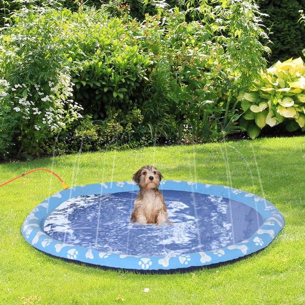 Hundesprinkler-Matte CP150 Blau - Kunststoff - 1 x 1 x 150 cm