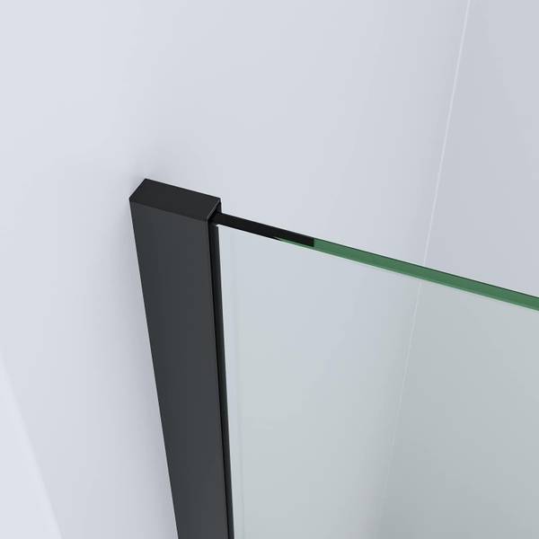 Walk in GWALAS Schwarz - Glas - 110 x 200 x 0 cm