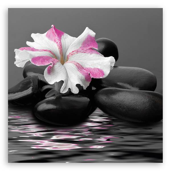 Wandbild steine blume 50 x 50 cm