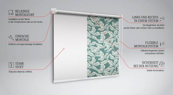 Rollo PHYLLE 60 x 140 cm
