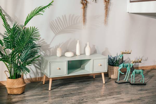 TV-Schrank 2 Schubladen AKITA Grün