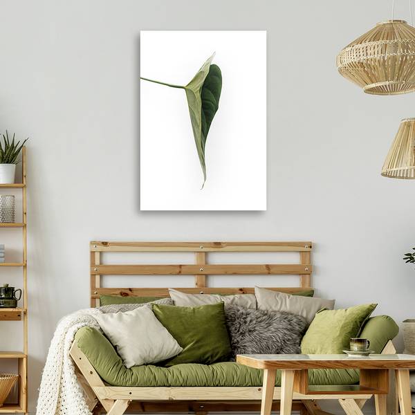Canvas schilderij Botanisch 70 x 100 cm