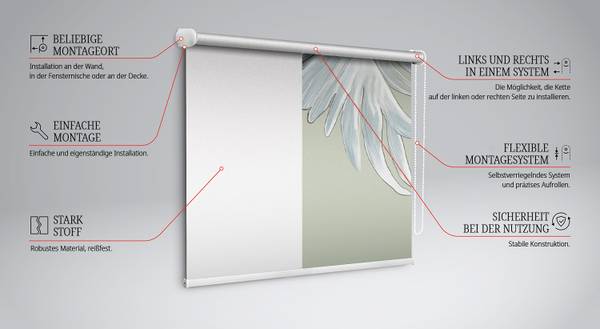 Rollo PTERON 60 x 140 cm