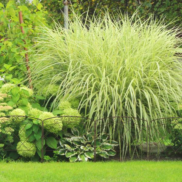 4-tlg. Beetzaun aus Metall Stahl - 63 x 60 x 2 cm