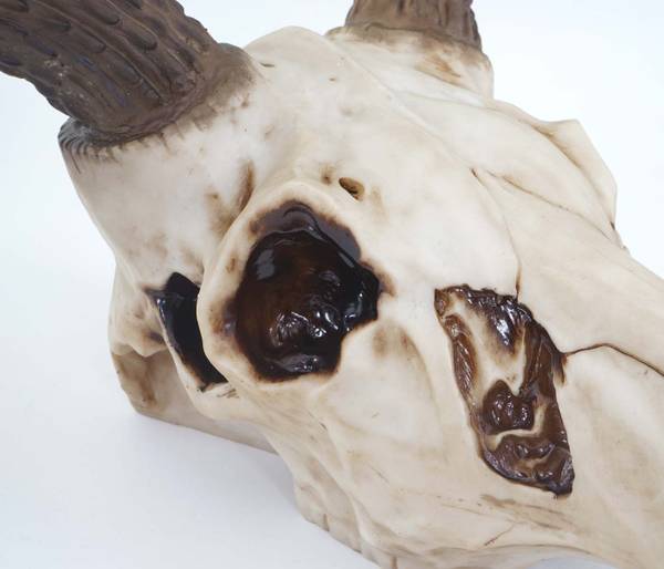 Decoratieve schedel met hertengewei beige - polyresin - 58 x 40 x 42 cm