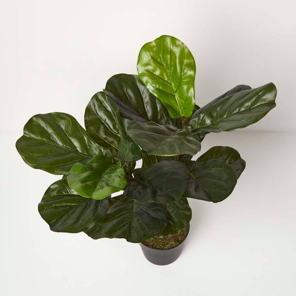 Kunstpflanze Geigenfeige Grün - Polyester - 16 x 75 x 75 cm