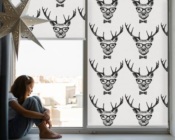 Innenrollo RANGIFER 60 x 140 cm