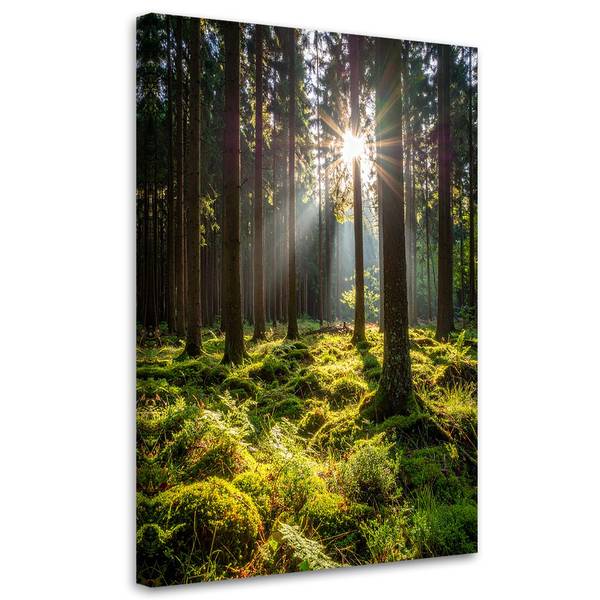Canvas schilderij Natuur 40 x 60 cm