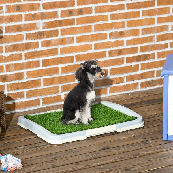 Hundetoilette D07-045V01LB Grün - Kunststoff - 49 x 6 x 63 cm