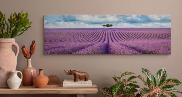 Tableau Panorama Champ de Lavande 3D Bleu - Mauve - Blanc - Lin - 145 x 45 x 45 cm