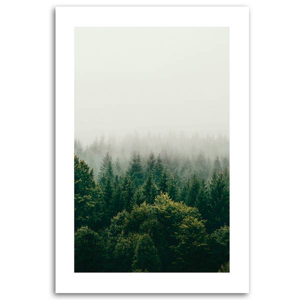 Wandbild wald im nebel 70 x 100 cm