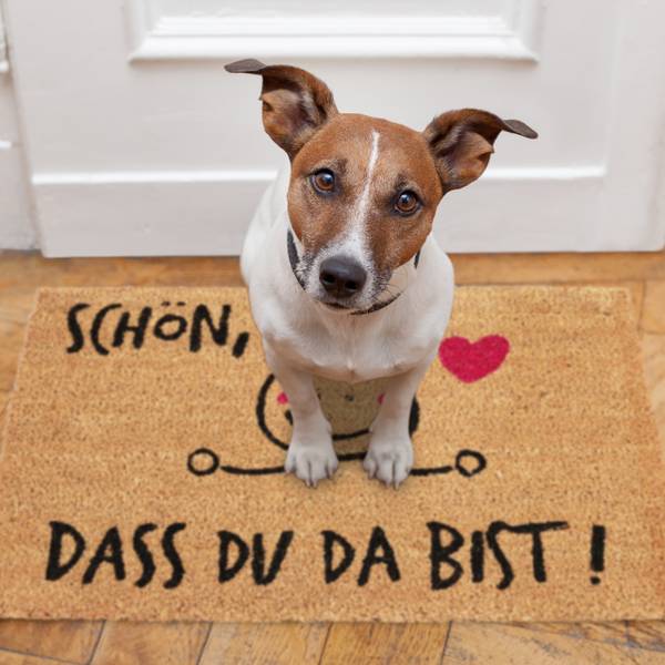 Deurmat kokos SCHÖN, DASS DU DA BIST zwart - bruin - rood - natuurvezel - kunststof - 60 x 2 x 40 cm