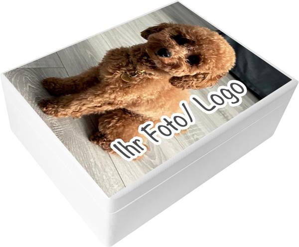 Aufbewahrungsbox Photo Weiß - Holz teilmassiv - 30 x 14 x 40 cm