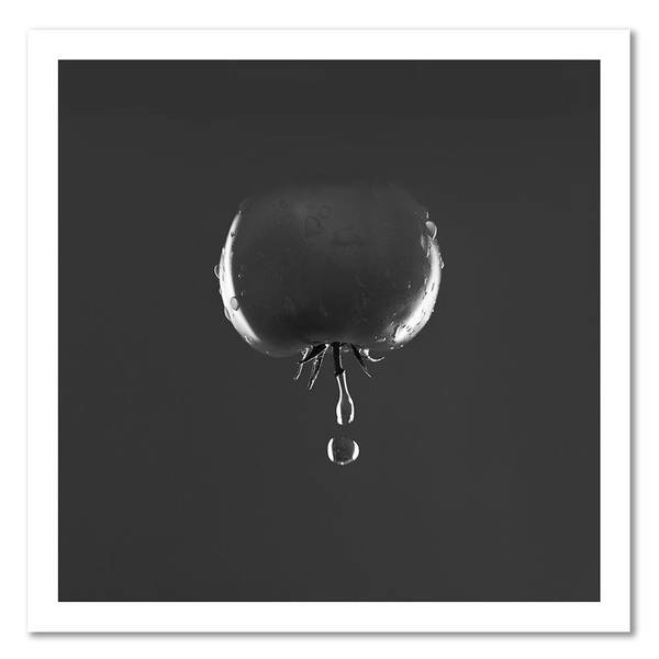 Leinwandbilder Tomaten Gemüse Schwarz 50 x 50 cm