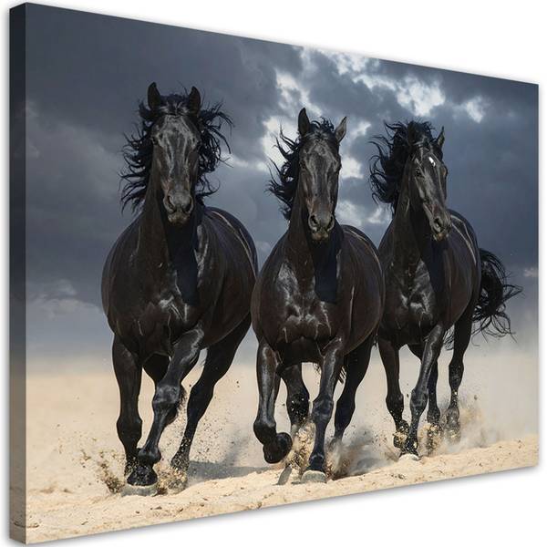 Canvas shilderij Paarden 60 x 40 cm