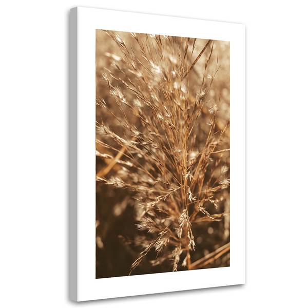 Wandbild gras 70 x 100 cm
