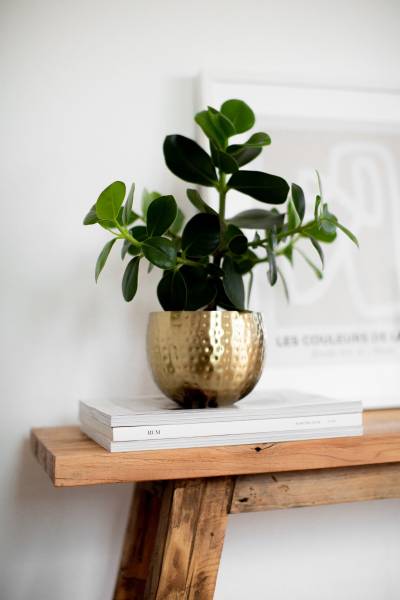 Blumentopf Baha – Gold, Ø 14 cm Gold