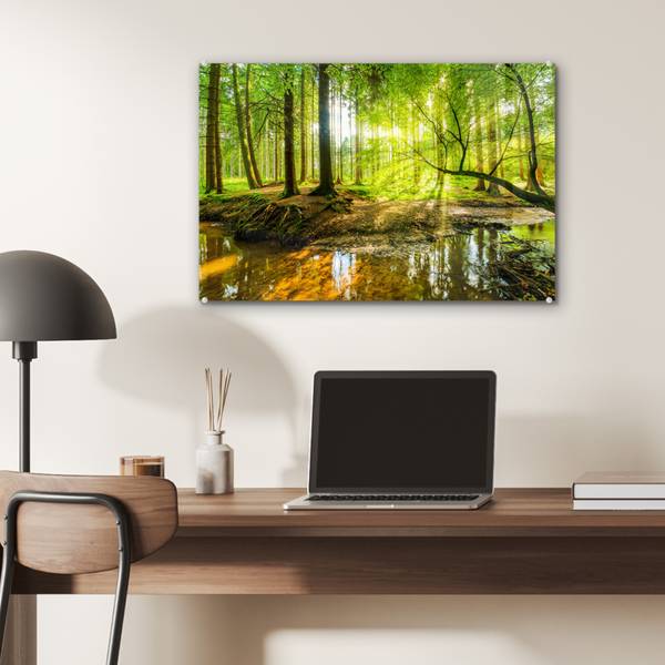 ACRYLGLASBILD Wald 60 x 40 cm