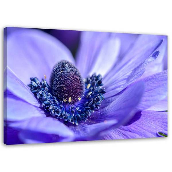 Wandbild blume 100 x 70 cm