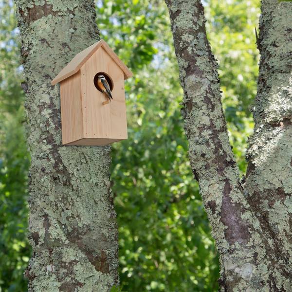 Nestkast koolmees met klep bruin - plaatmateriaal op houtbasis - 17 x 26 x 16 cm