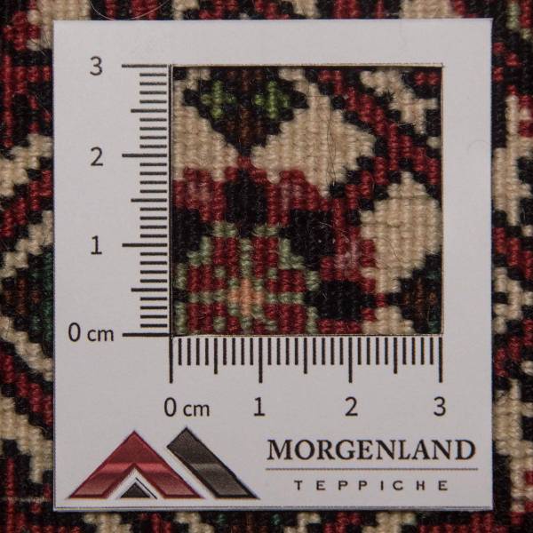 Orientteppich Premium Blau - Wolle - 77 x 1 x 246 cm