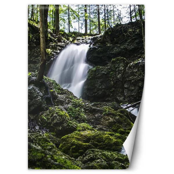 Fototapete Wasserfall im Wald 200 x 280 cm