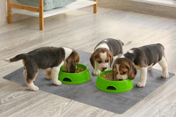 Futtermatte Grauer Beton Grau - Polyester PVC - 60 x 90 x 1 cm