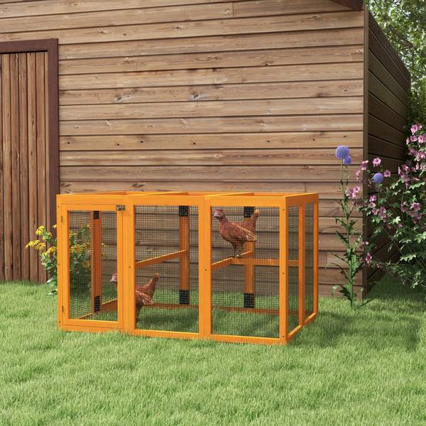 Hühnerstall D51-421V00OG Orange - Massivholz - 85 x 81 x 140 cm